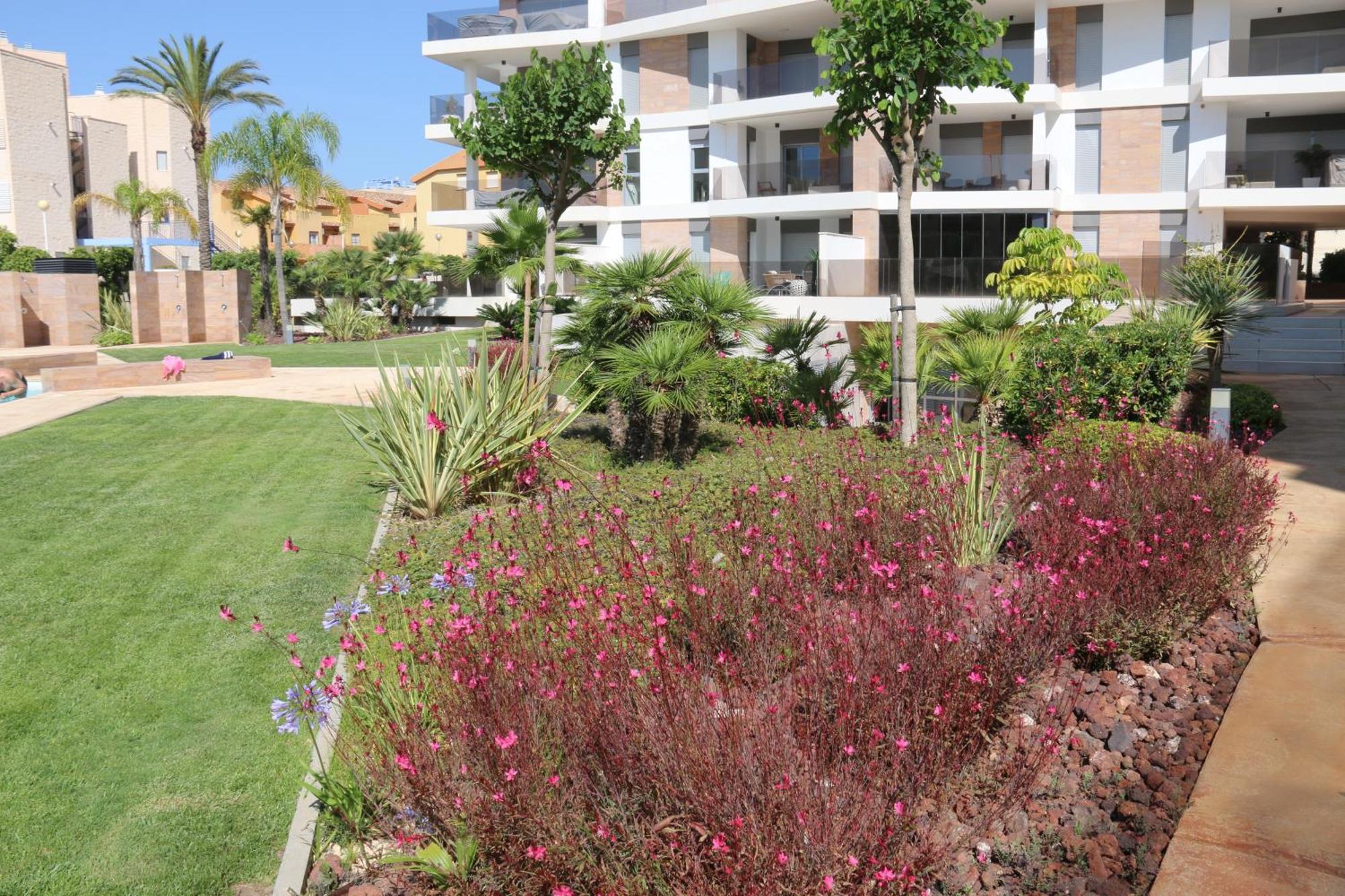 Luxusni Apartman Ve Spanelsku, Cabo Roig Orihuela Eksteriør billede
