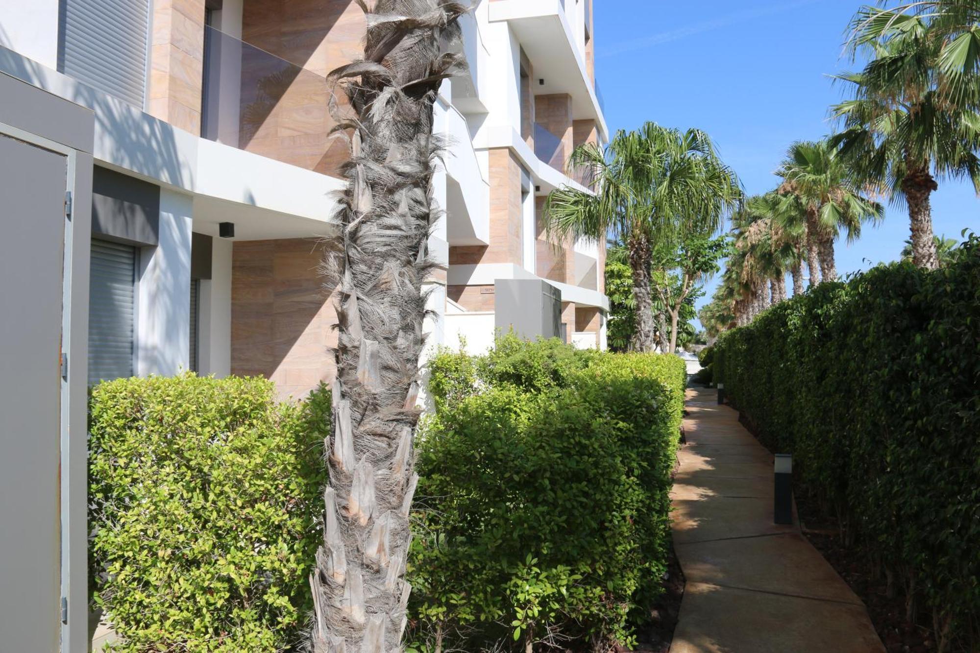 Luxusni Apartman Ve Spanelsku, Cabo Roig Orihuela Eksteriør billede